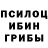 Галлюциногенные грибы мицелий @ egor
